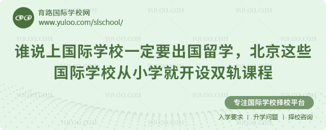 谁说上国际学校一定要出国留学