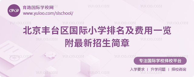 2026�걱����̨������Сѧ����������