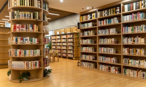 ����˽��Сѧ���ڰ�����Ҫ��