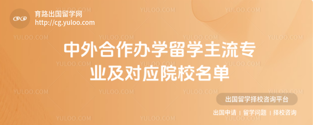 中外合作办学专业院校