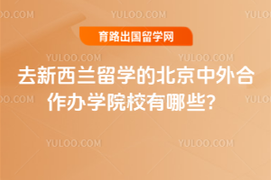 2026��ȥ��������ѧ�ı������������ѧԺУ����Щ��