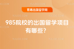 2026��985ԺУ�ĳ�����ѧ��Ŀ����Щ��