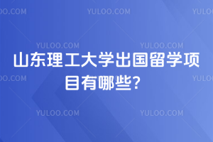 2026年山东理工大学出国留学项目有哪些？
