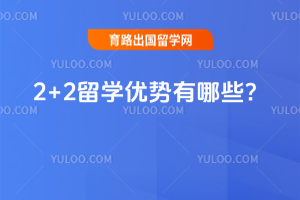 2026��2+2��ѧ��������Щ��