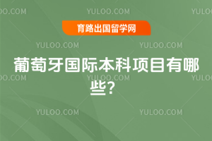 2026�����������ʱ�����Ŀ����Щ��