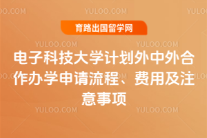 2026年电子科技大学计划外中外合作办学申请流程、费用及注意事项