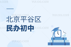 ����ƽ����������