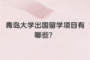 2026年青岛大学出国留学项目有哪些？
