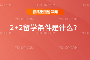 2026��2+2��ѧ������ʲô��