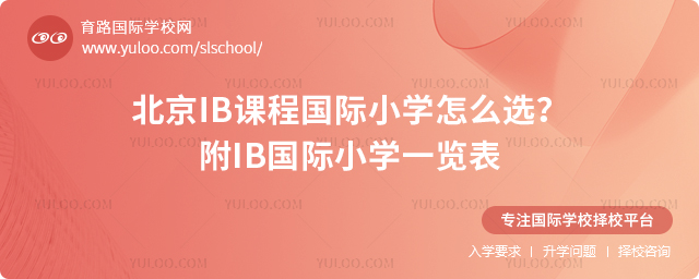 2026�걱��IB�γ̹���Сѧ��ôѡ