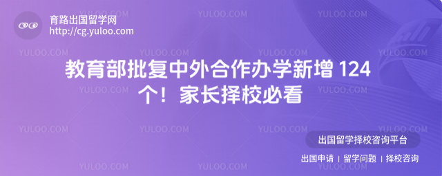 中外合作办学院校