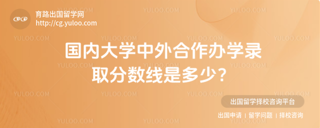 中外合作办学录取分数线