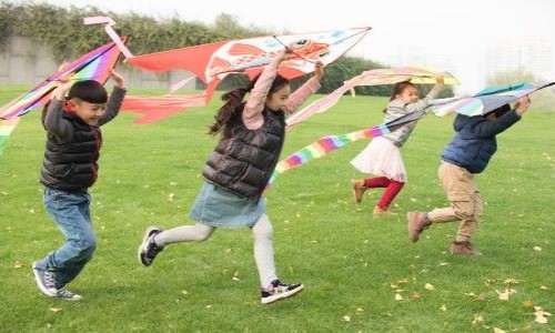 北京延庆区小升初入学材料