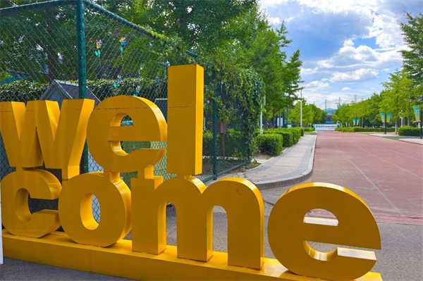 ����ѧУ����У��Сѧ����������