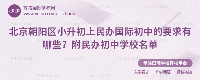 2026年北京朝阳区小升初上民办国际初中的要求有哪些