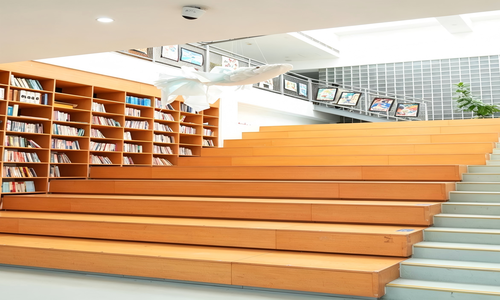 �����»���ԷѧУ�߿�������