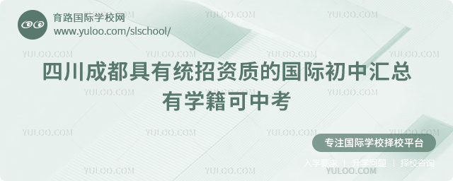 2026���Ĵ��ɶ�����ͳ�����ʵĹ��ʳ��л���