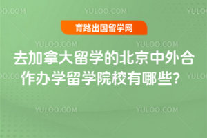 2026��ȥ���ô���ѧ�ı������������ѧ��ѧԺУ����Щ��