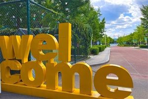 2026������ѧУ����У��Сѧ����������