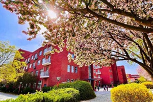 ����������ѧ�⼮��Ա��ŮѧУ2026-2027ѧ����������