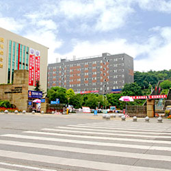 四川文化艺术学院招生-四川文化艺术学院航空