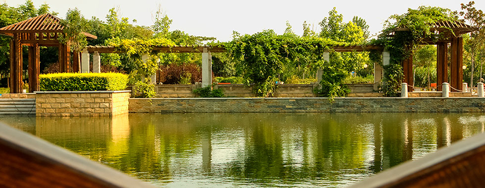 河南师范大学继续教育学院_航空服务专业招生
