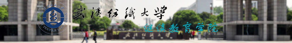 武汉纺织大学