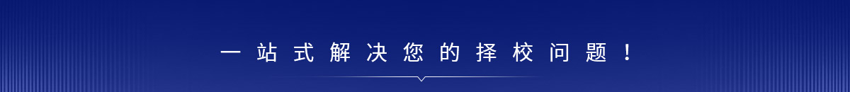 ѧУʲô˼